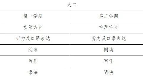 坦塔大学零基础阿拉伯语本科