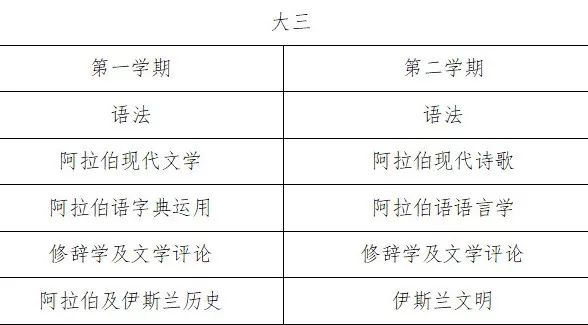 坦塔大学零基础阿拉伯语本科