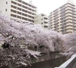 东进日本语学校