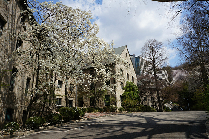 韩国留学,梨花女子大学 韩国留学,梨花女子大学
