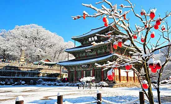 韩国留学 11.jpg