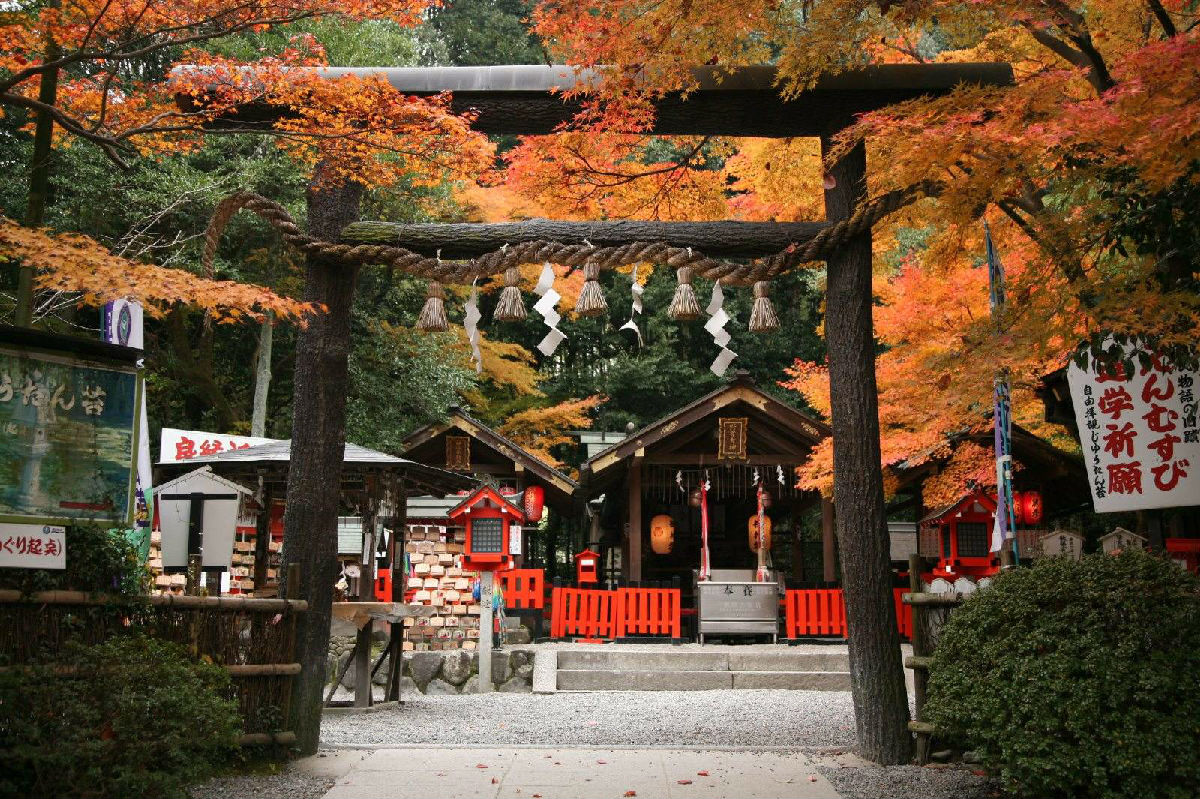 出国留学-日本留学 出国留学-日本留学
