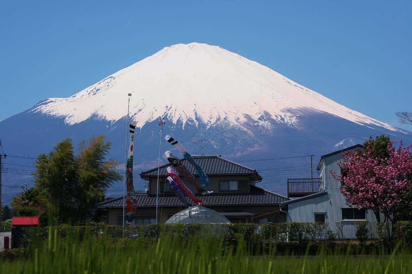 出国留学,日本留学 出国留学,日本留学