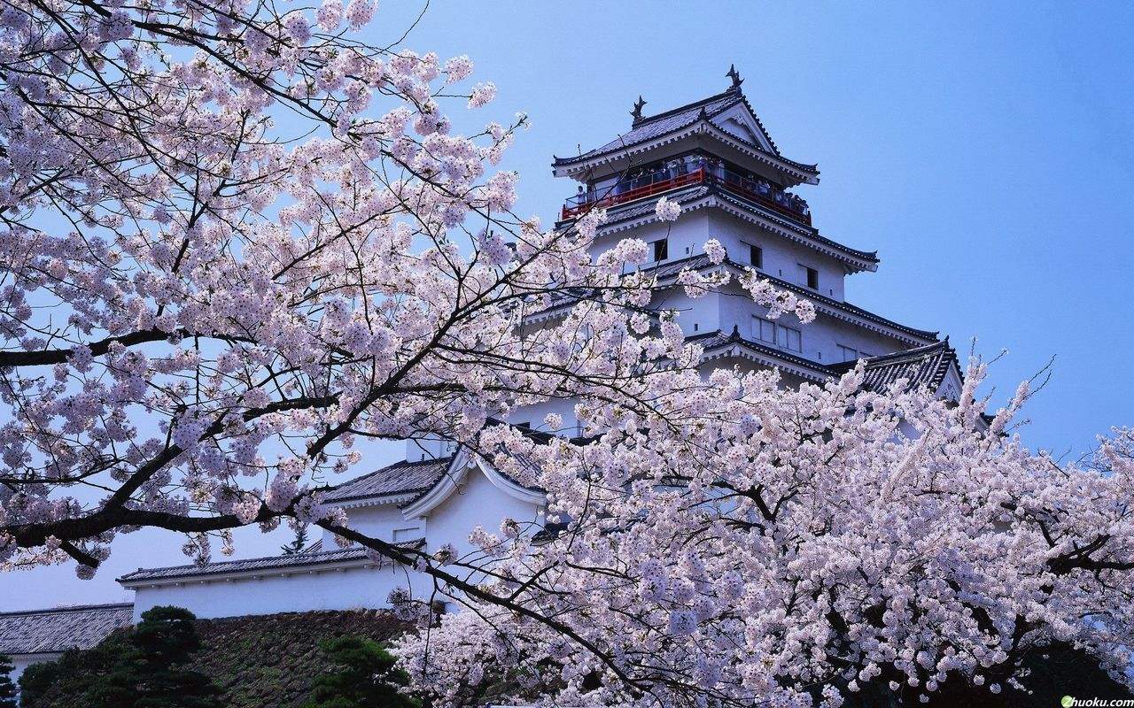 出国留学-日本留学 出国留学-日本留学