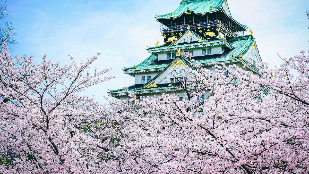 出国留学-日本留学 出国留学-日本留学