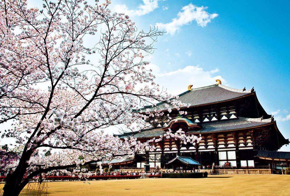 出国留学-日本留学 出国留学-日本留学
