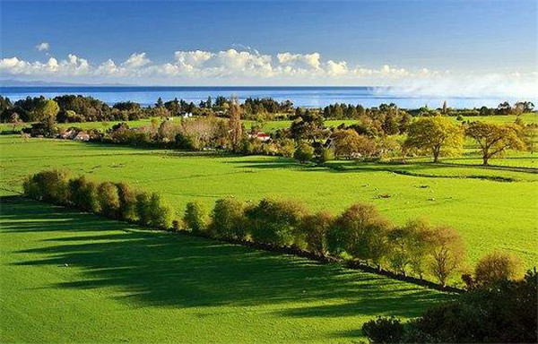 出国移民关注,为你解析移民现状,新西兰移民