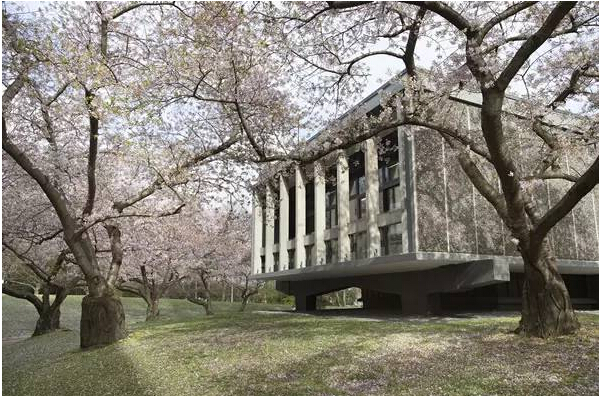 新西兰留学