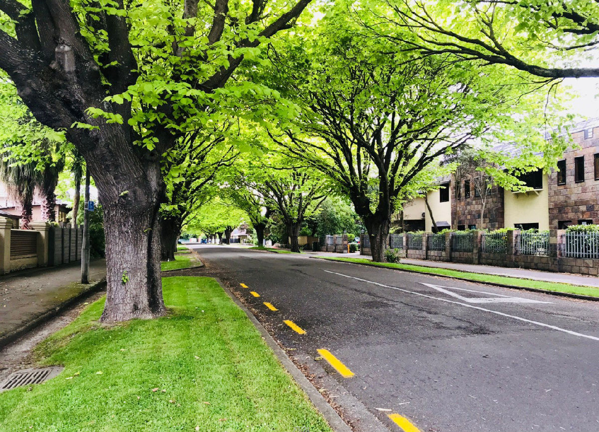 新西兰留学 新西兰留学