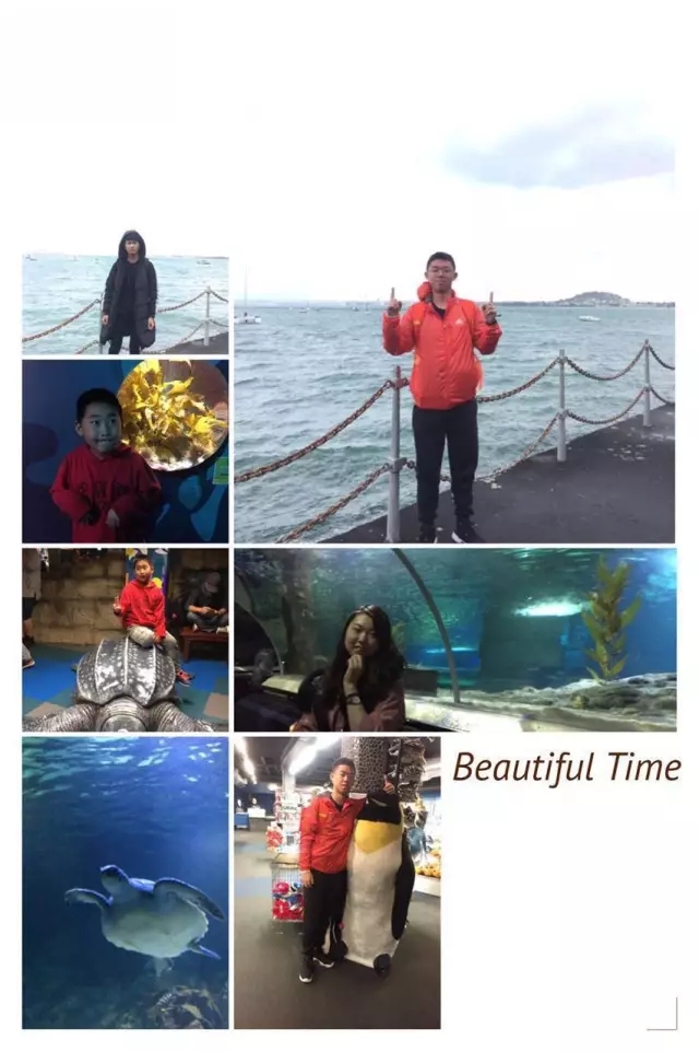 Bestway 2017年新西兰夏令营收获之旅-下篇