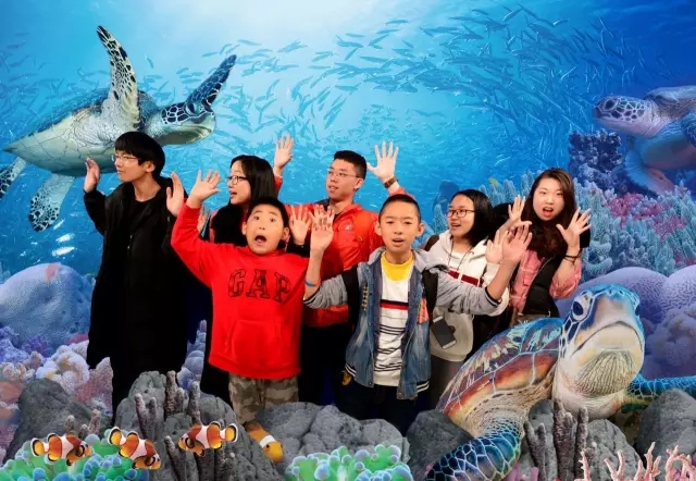 Bestway 2017年新西兰夏令营收获之旅-下篇