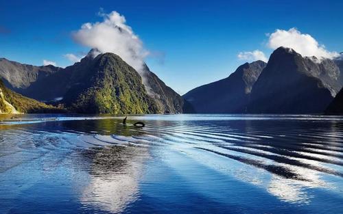 技术移民,衔接移民 技术移民,衔接移民