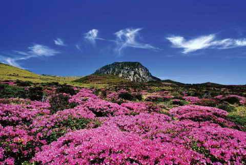 出国留学-韩国留学 出国留学-韩国留学