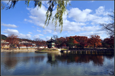 出国留学-韩国留学 出国留学-韩国留学