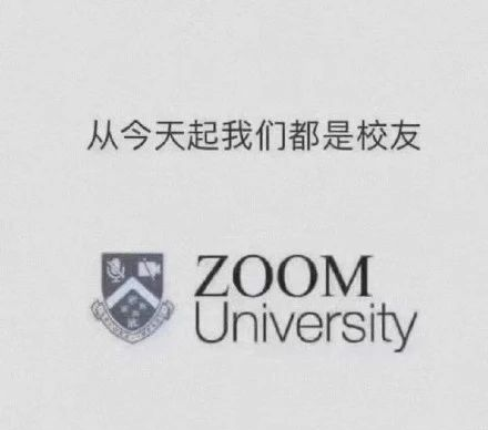 留学变成了上Zoom大学 留学变成了上Zoom大学