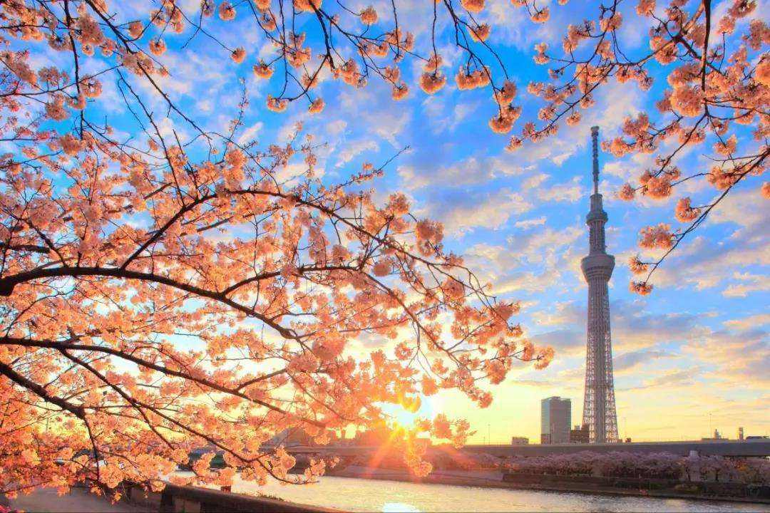 出国留学的真正意义,日本留学