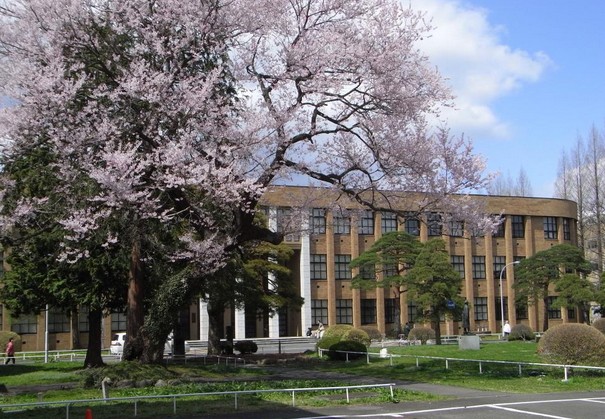 名古屋国际日语学校 名古屋国际日语学校