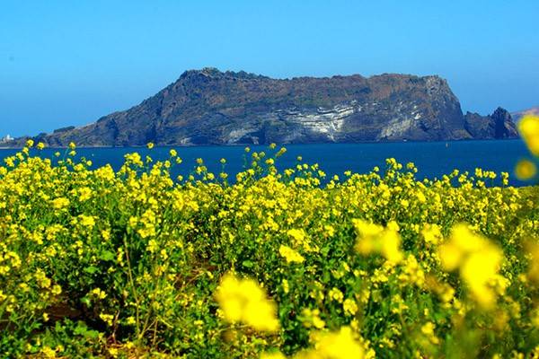 来不及办签证,免签国家和地区