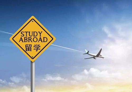 大学毕业,工作还是出国留学