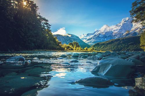 有财或有才都可移民新西兰