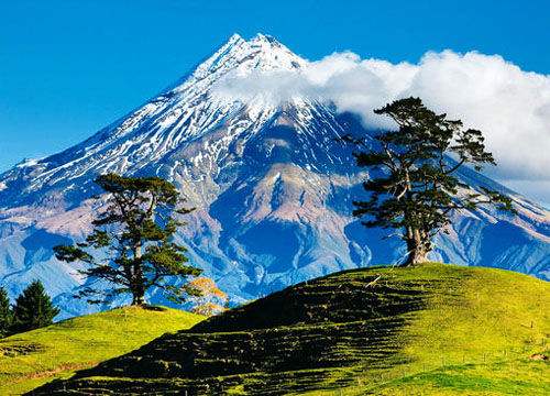 有财或有才都可移民新西兰