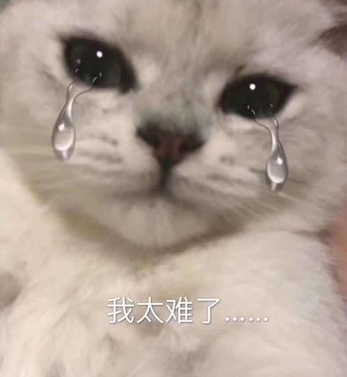 专业选不好是很头疼的一件事