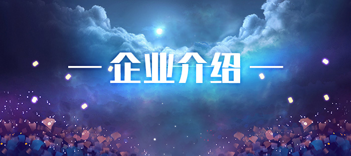 公司简介 公司简介
