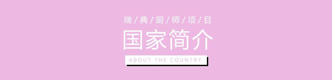 瑞典厨师