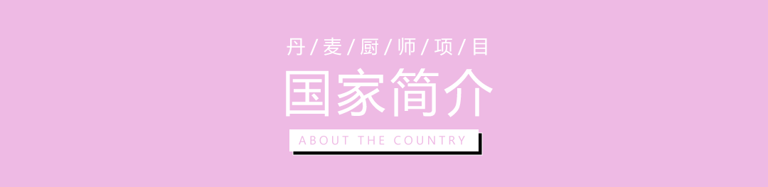 丹麦厨师