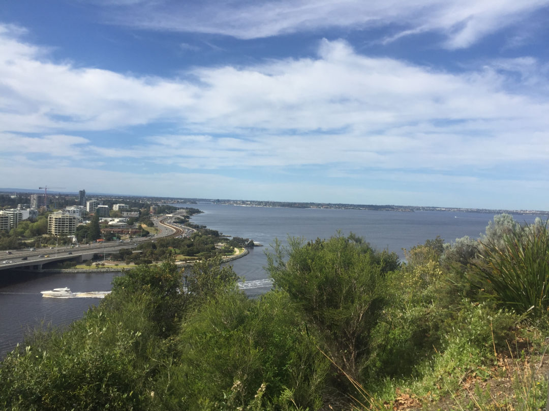 澳洲移民需求,华人是主力军