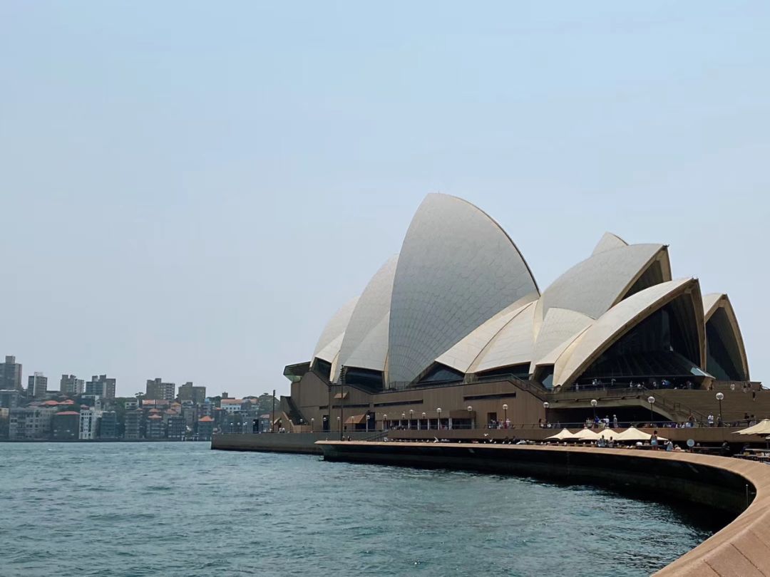 澳洲移民需求,华人是主力军