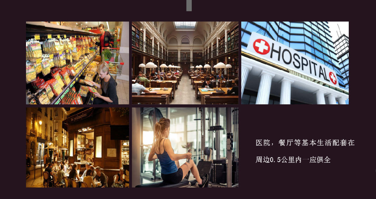 莱索纳豪华公寓