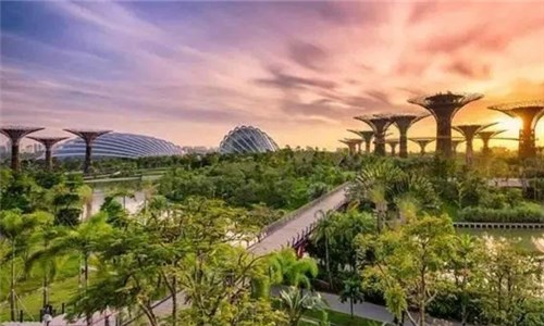 劳务输出公司,出国劳务为什么选择新加坡