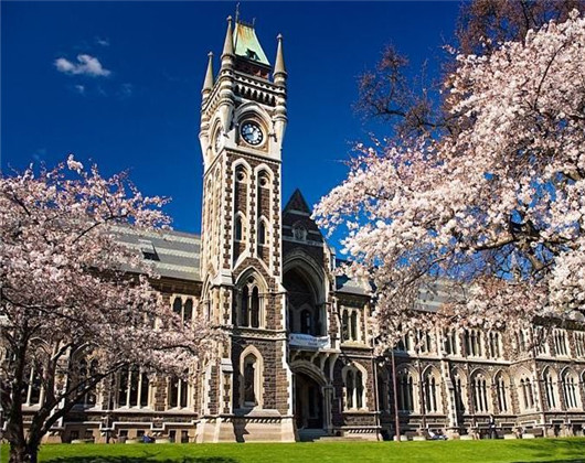 新西兰留学,奥克兰大学