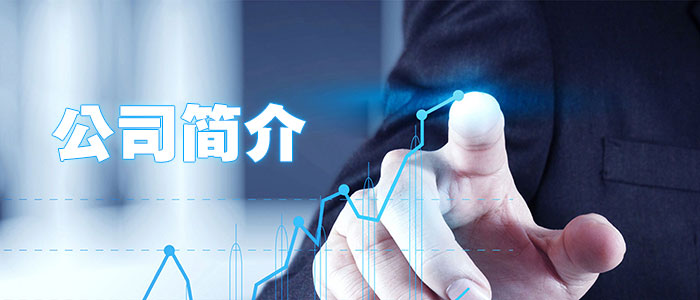 公司简介 公司简介