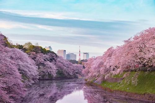 日本 日本.jpg