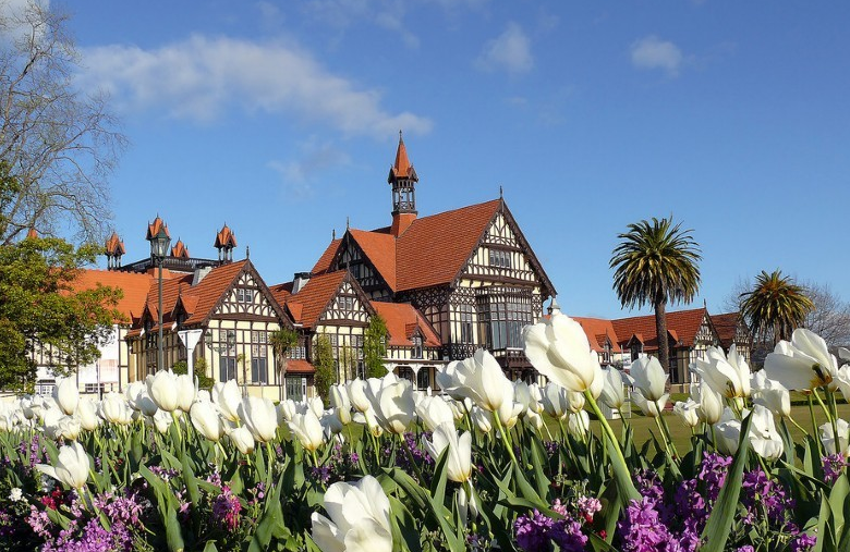 热门移民专业有哪些