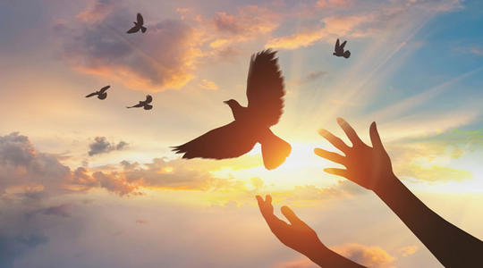 留学生,出国留学