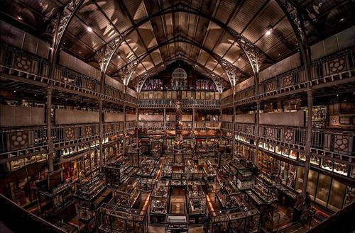 牛津大学,剑桥大学